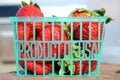 Fresh strawberries in a green plastic basket market Ã¢â¬ÅProduct of USAÃ¢â¬Â in California, USA